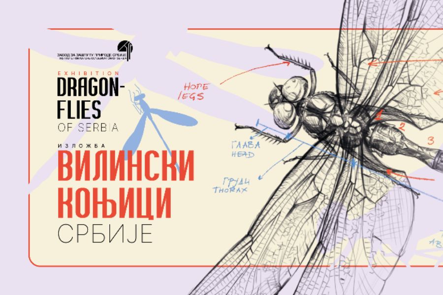 Изложба „Вилински коњици Србије“у Галерији науке и технике САНУ у Београду